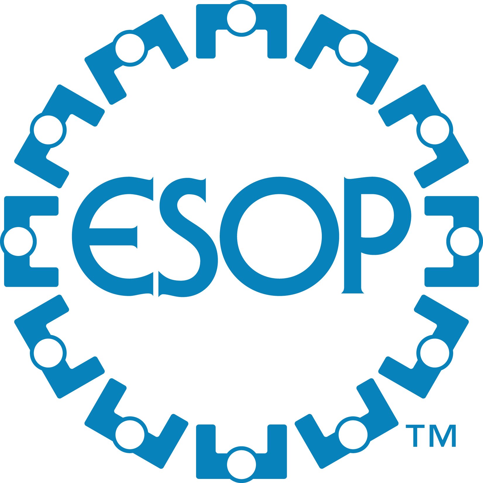 Best ESOP Audit, Valuation, & Consulting Firm in PA Trout CPA